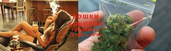 индика Белоозёрский