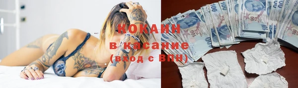 индика Белоозёрский