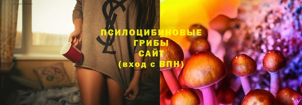 индика Белоозёрский