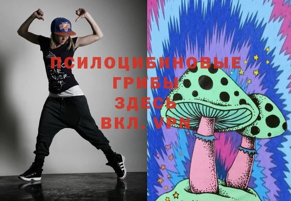 индика Белоозёрский