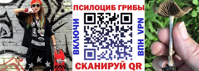 где купить наркотик Пестово Галлюциногенные грибы мухоморы